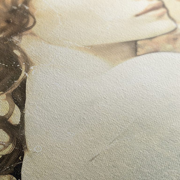 Γυναικείο Πορτρέτο — υφή καμβά